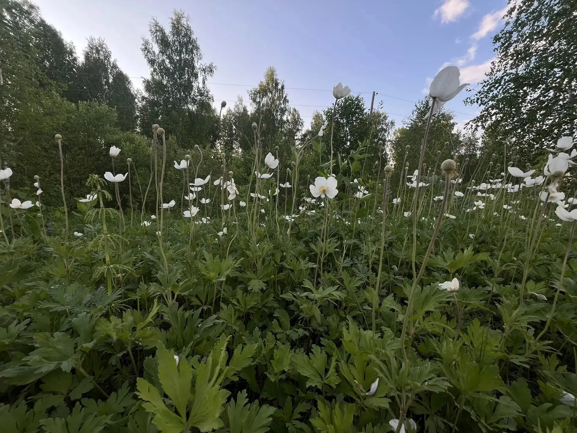 Лето продолжается! ☀️

Сегодня в ленте — кадры наших подписчиков. Спасибо, что делитесь летним настр