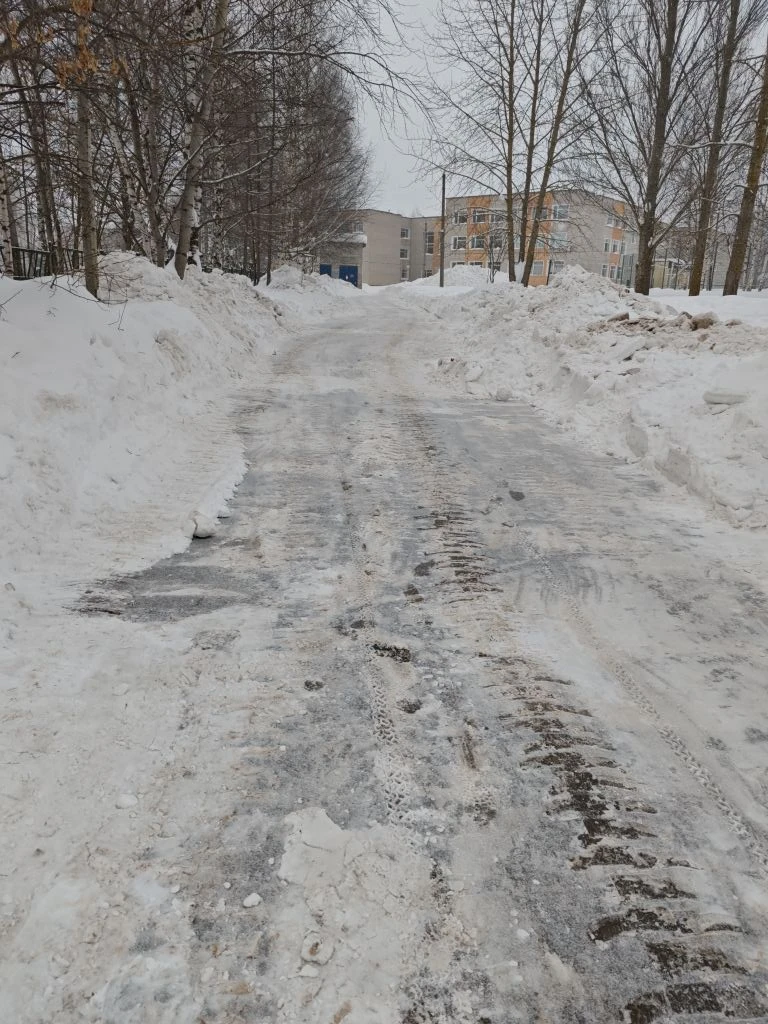 Всегда говорю "Огромное спасибо" за помощь школе. И сегодня очередная помощь школе - помогли с уборк