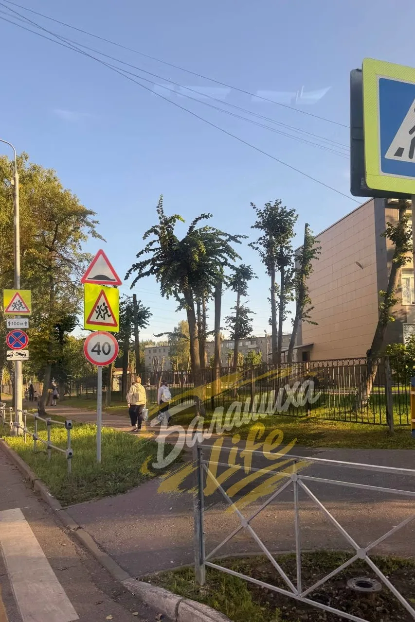 Всем доброе утро ☀ а мы долго будем молчать, что в Балашихе даже пальмы растут 🤔🤣