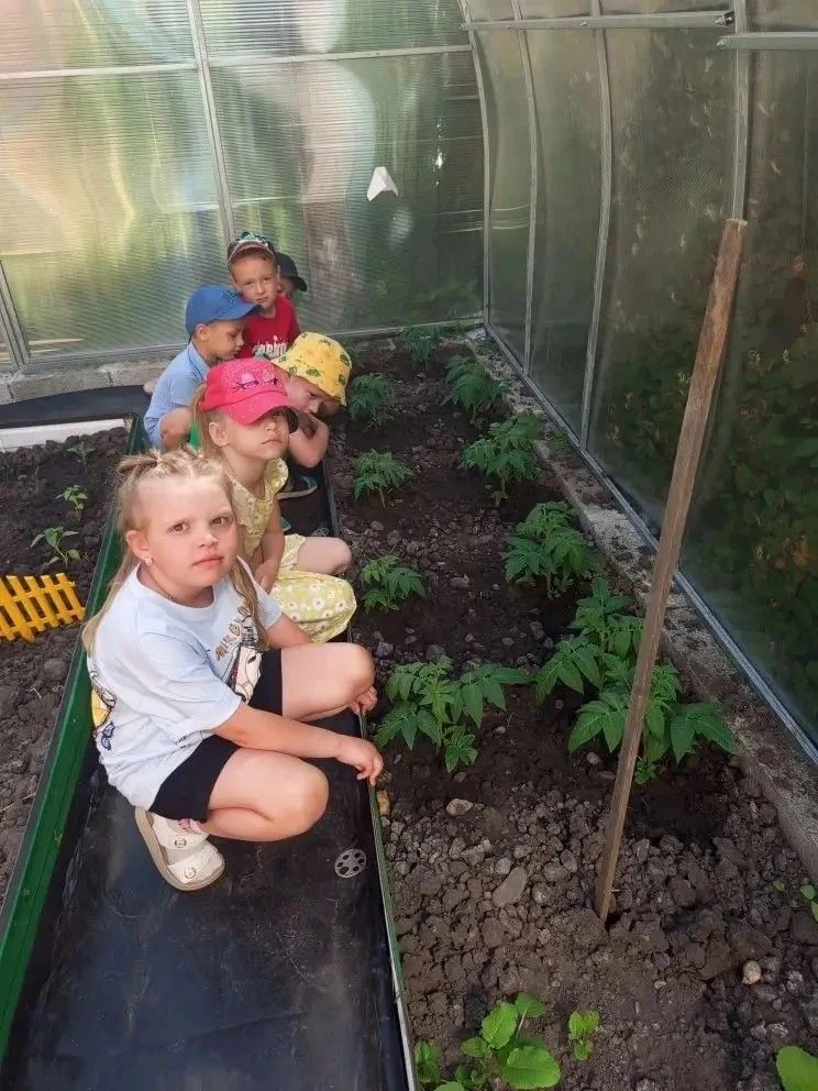 Маленькие агрономы: урожай группы «Фантазёры» 🍅✨

Ребята из экологического совета группы «Фантазёры