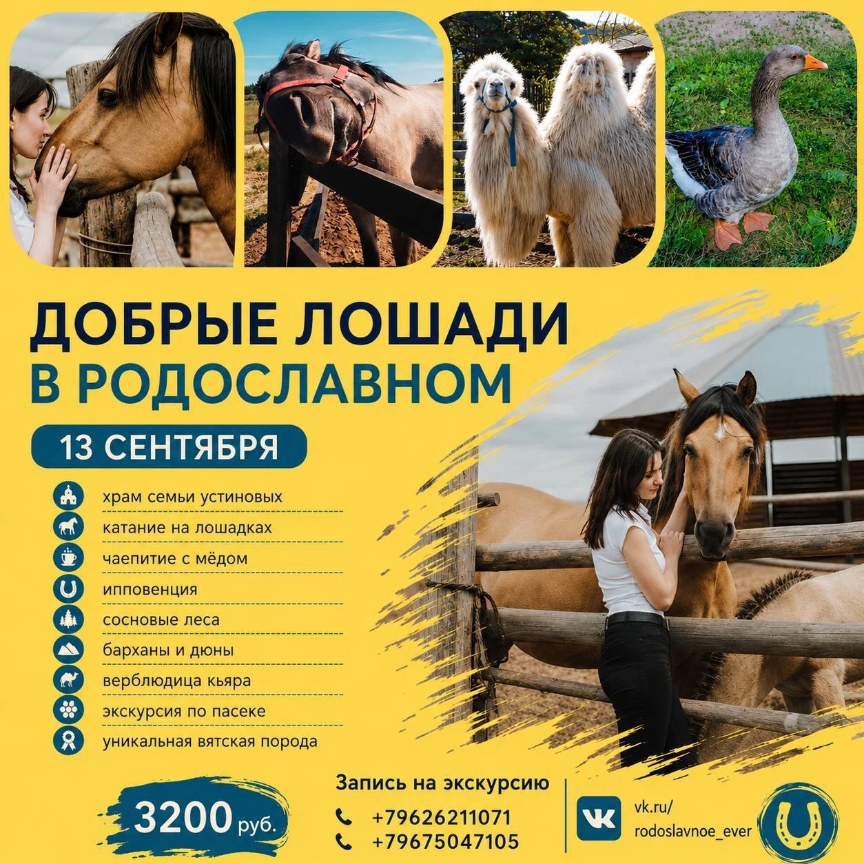 Экскурсия «Добрые лошади в Родославном» 13 сентября