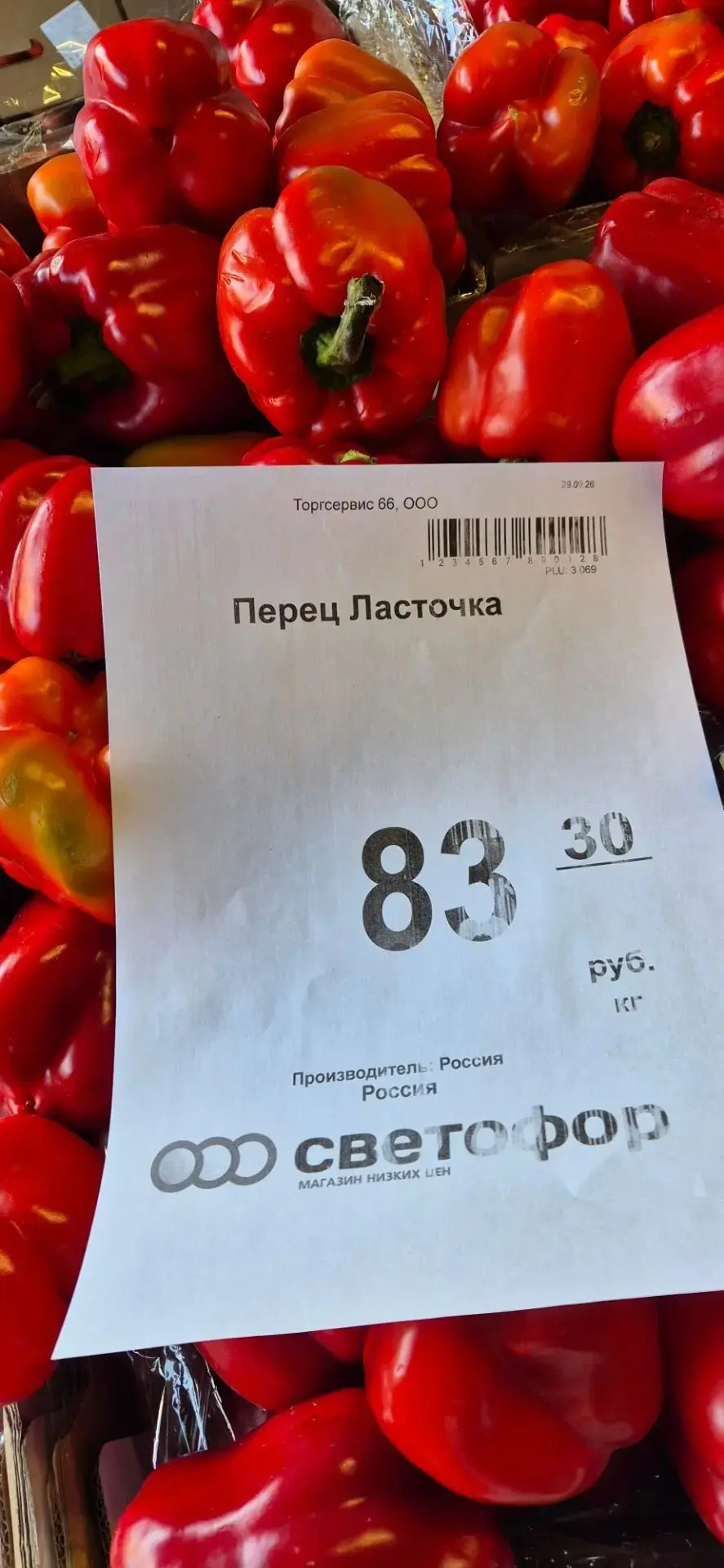 Светофор 🚥