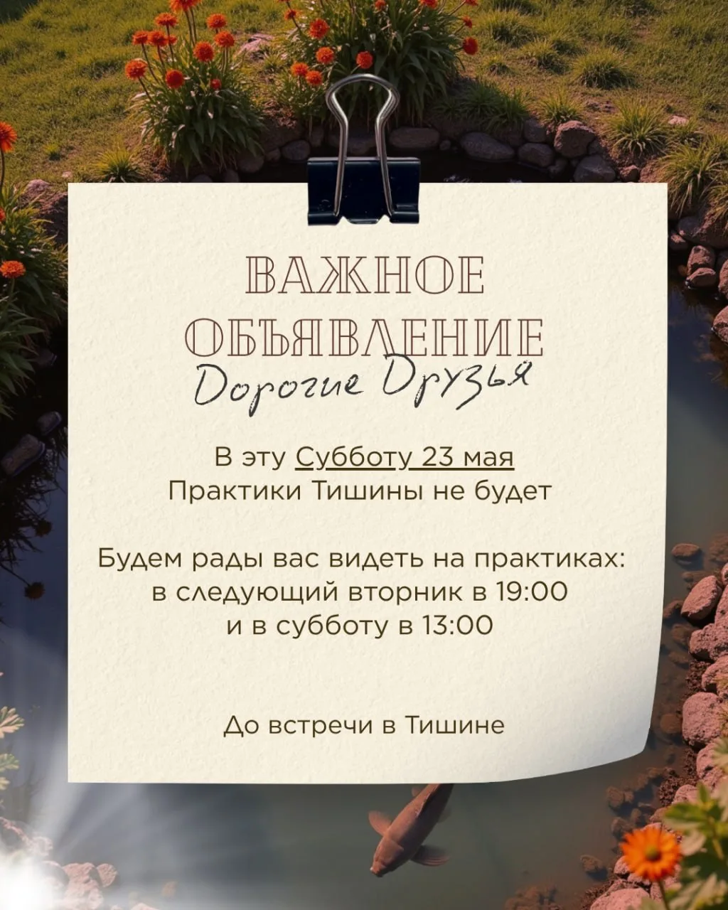 ✨️Друзья, важное объявление
