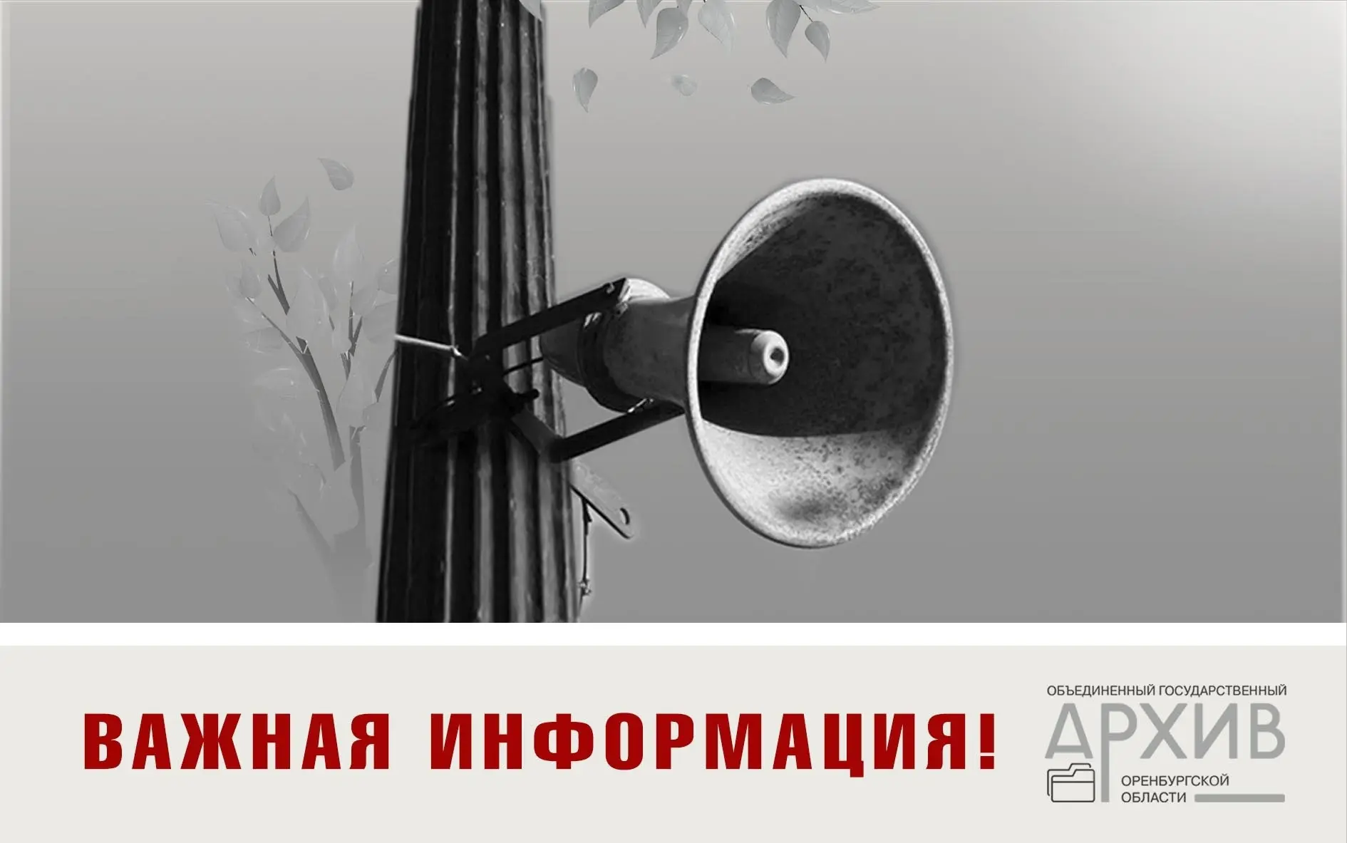 Изменился график оказания телефонных консультаций по вопросам исполнения тематических з...