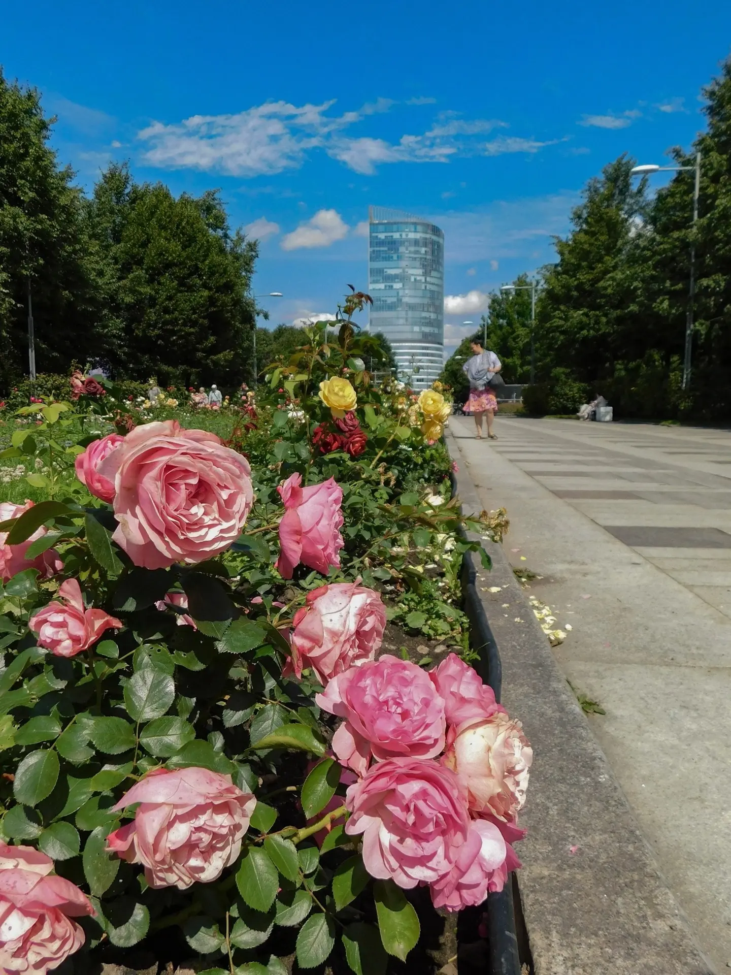 Цветущий парк 300 - летия🌹🪻