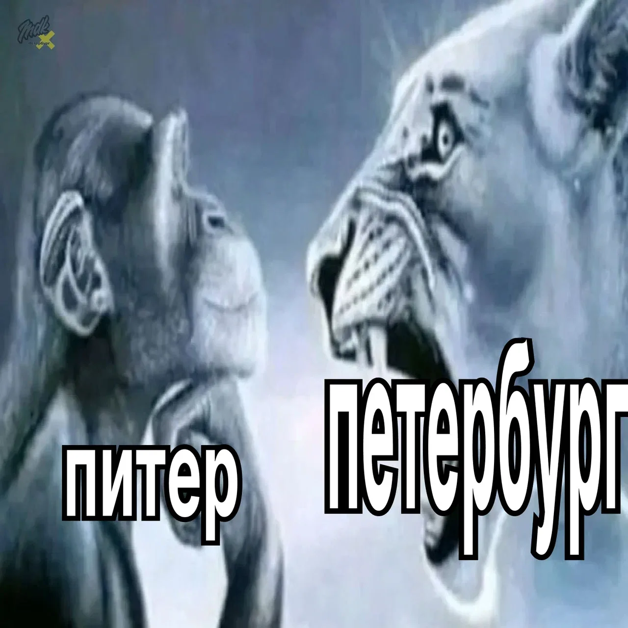 И треснул мир напополам