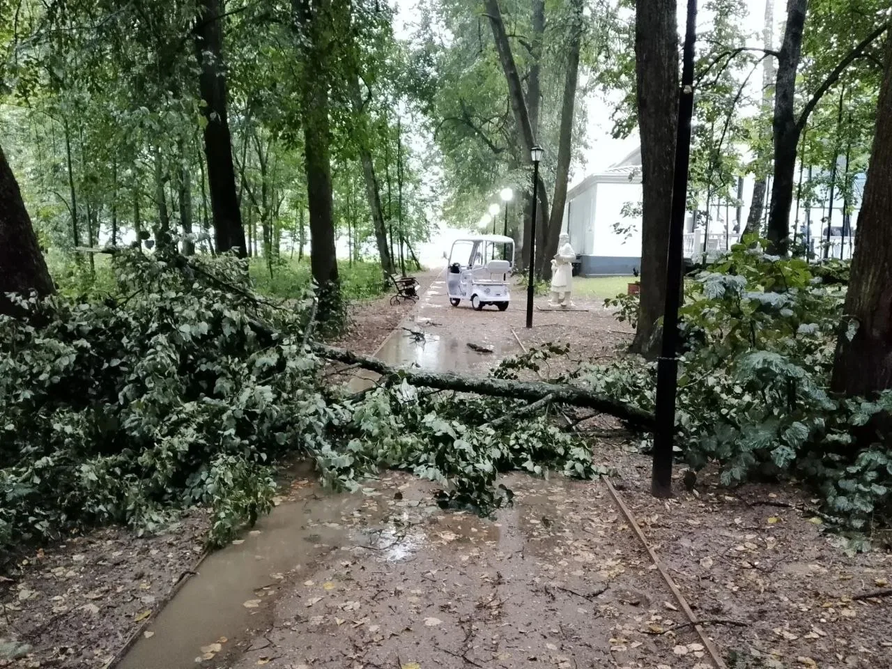 Малая часть последствий вчерашнего урагана в усадьбе Гребнево..

Несколько дней будем устранять..