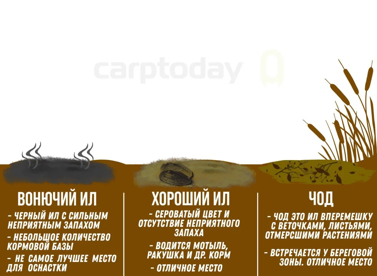 🎣 Карпфишинг. Ловля на заиленом дне – виды ила, особенности и практические советы

Большинство карп