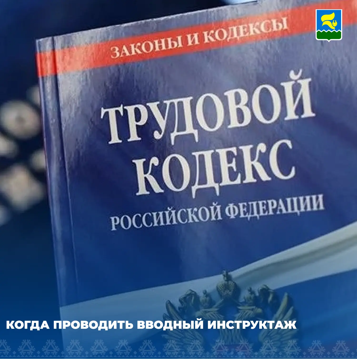 Когда проводить вводный инструктаж? Разбираемся вместе!

📌 Что говорит закон? Согласно п. 10 Постан