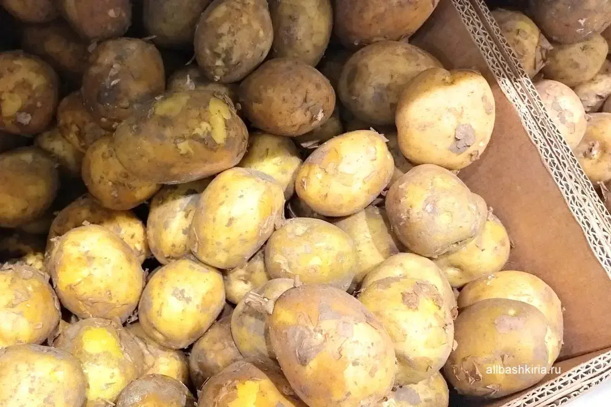 Башстат: цены на продукты в Башкирии с 18 по 24 августа