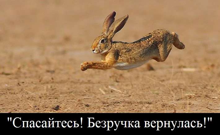 В русских сказках есть популярный сюжет про девушку-безручку, которую подставила злая н...