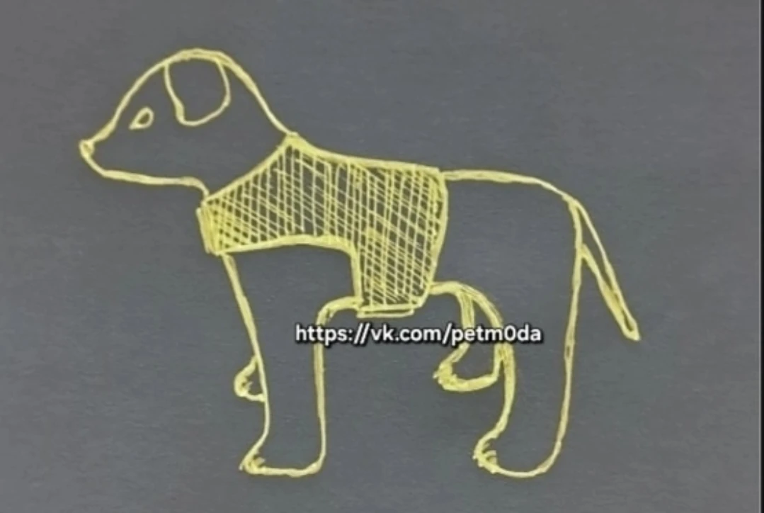 Выкройка шлейки для собаки.
