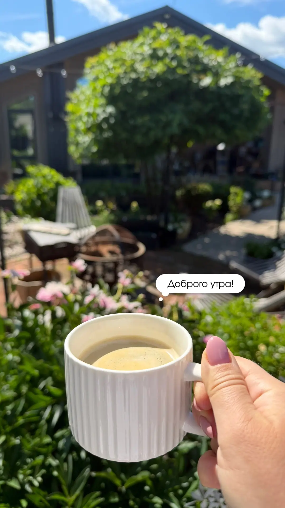 Доброе утро среды💕