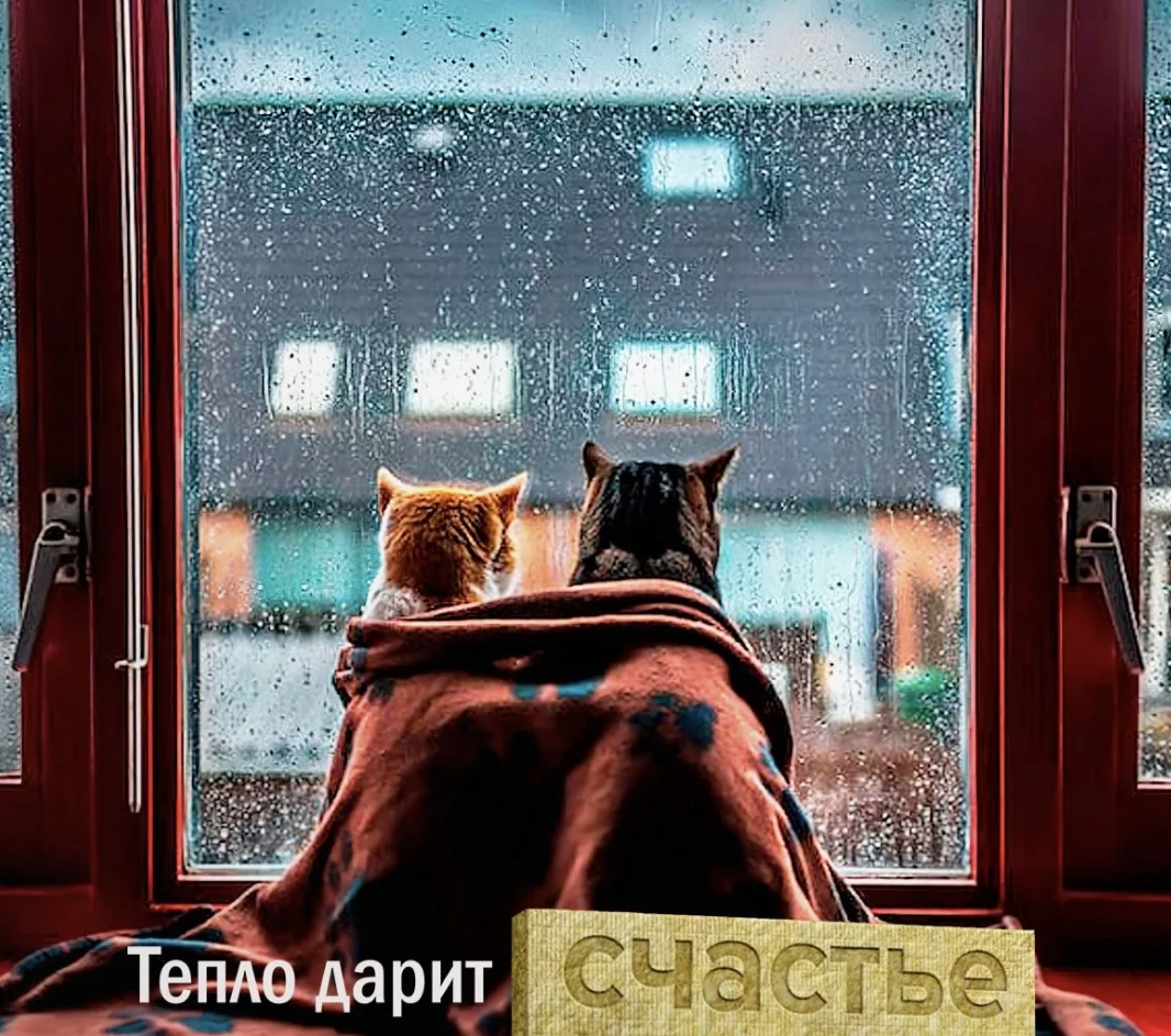 На улице холодно, а в доме уютно и тепло….