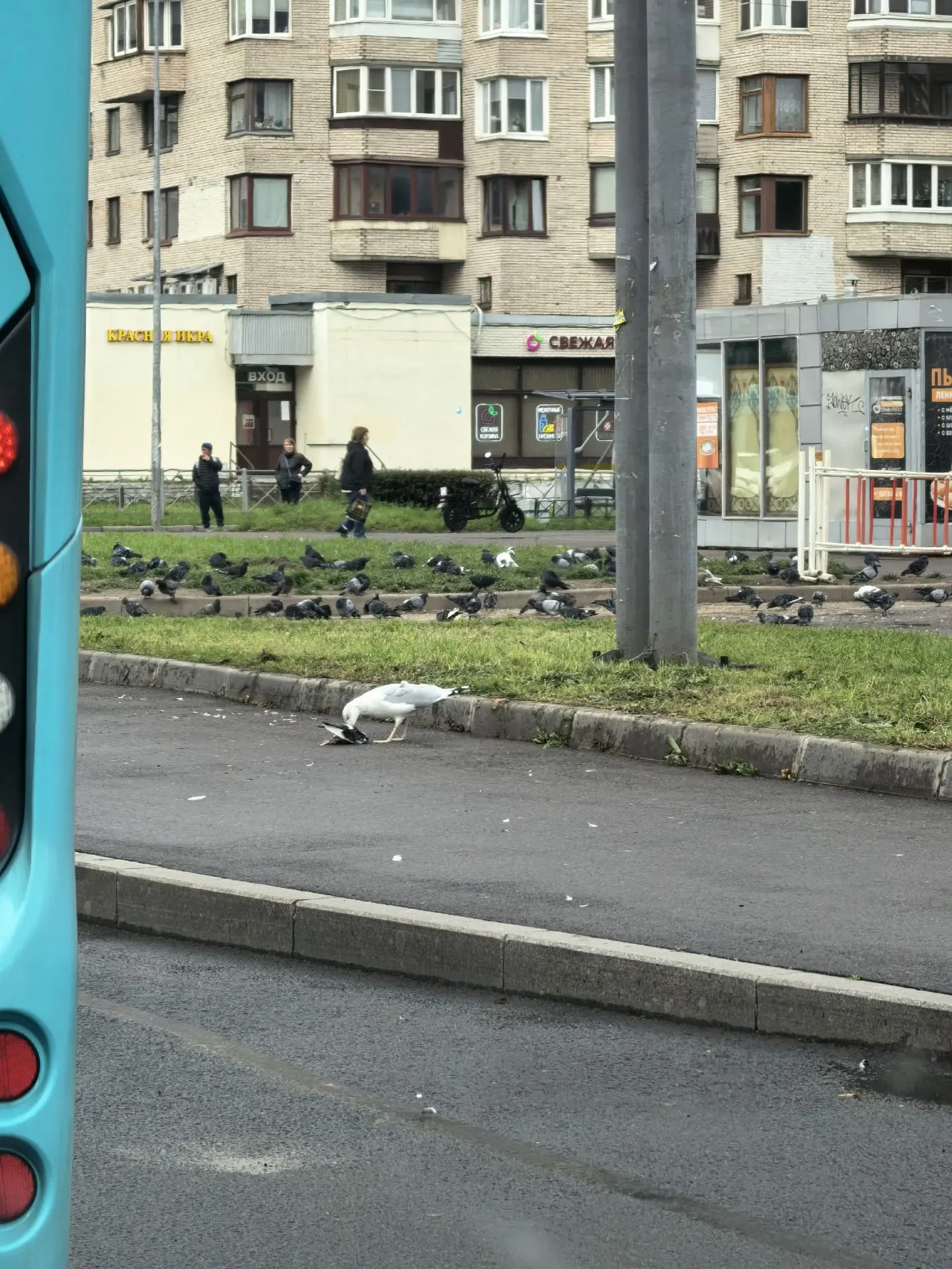 Это еще что такое????