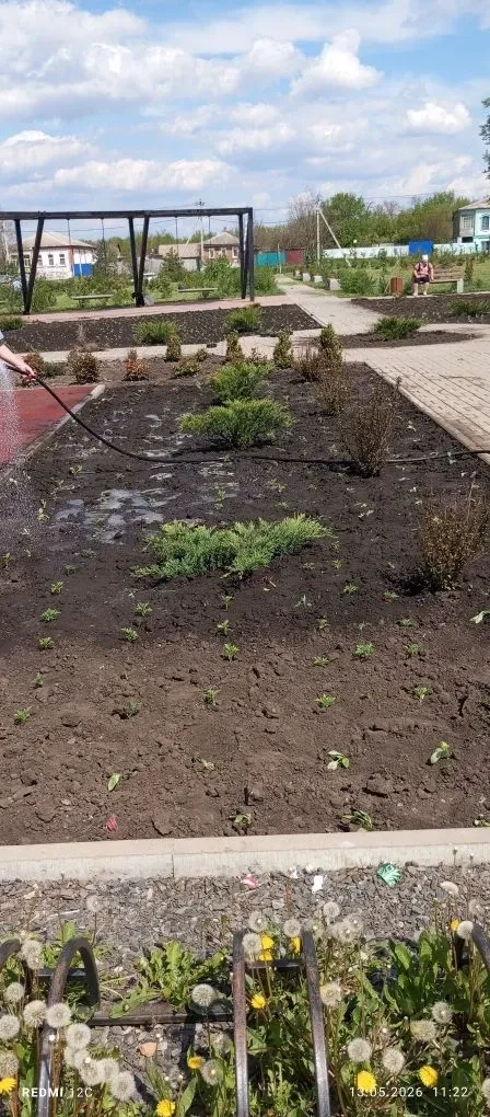 Высадка рассады цветов в грунт - важный этап создания красивого цветника. В теплый весе...