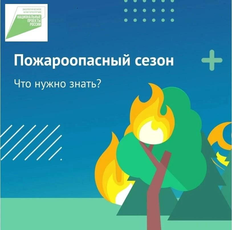 🔥 В Тамбовской области действует особый противопожарный режим!