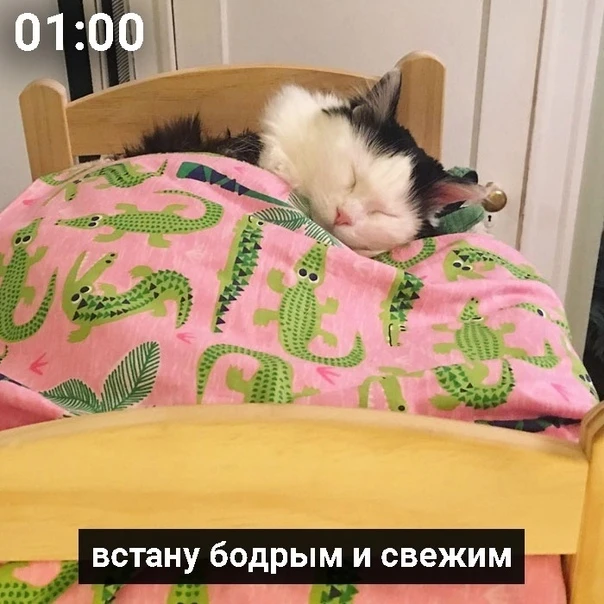 И так каждый день😕
