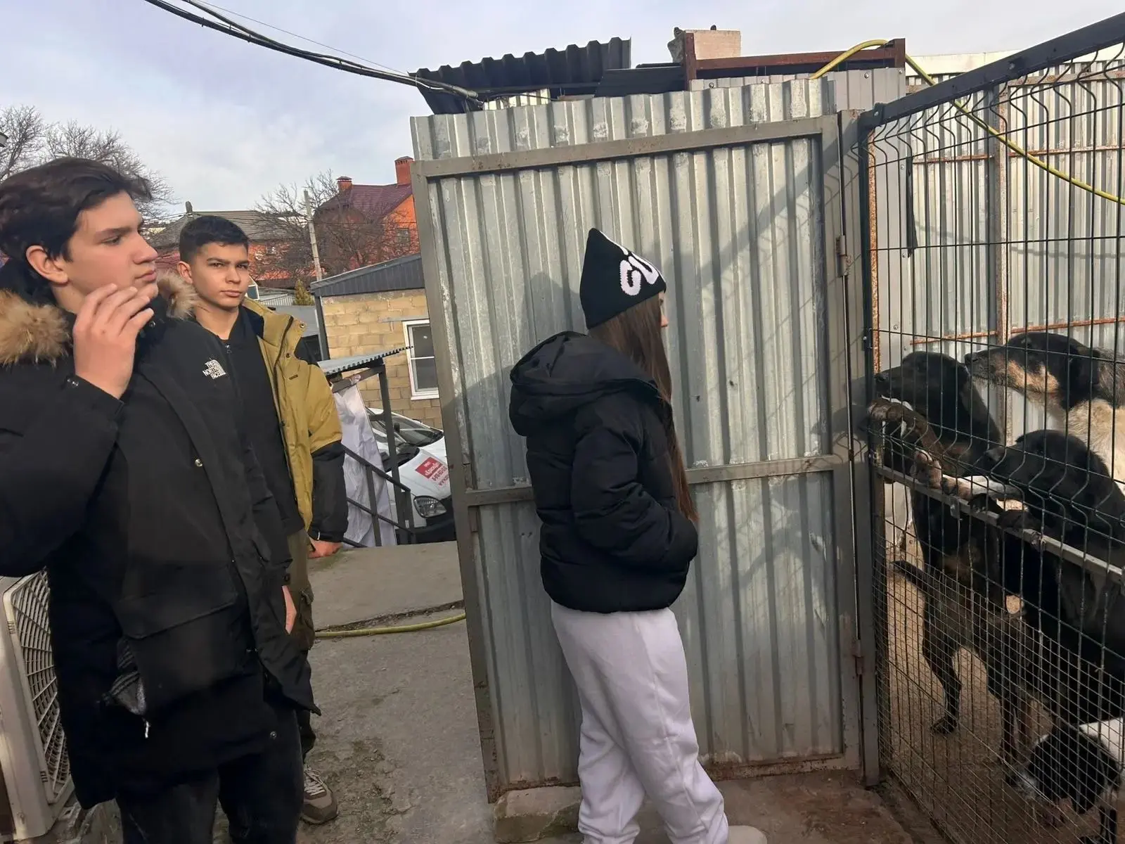 Акция "Хвостатый Новый год!"  В нашем современном мире мы часто забываем о тех, кто нуждается в помо