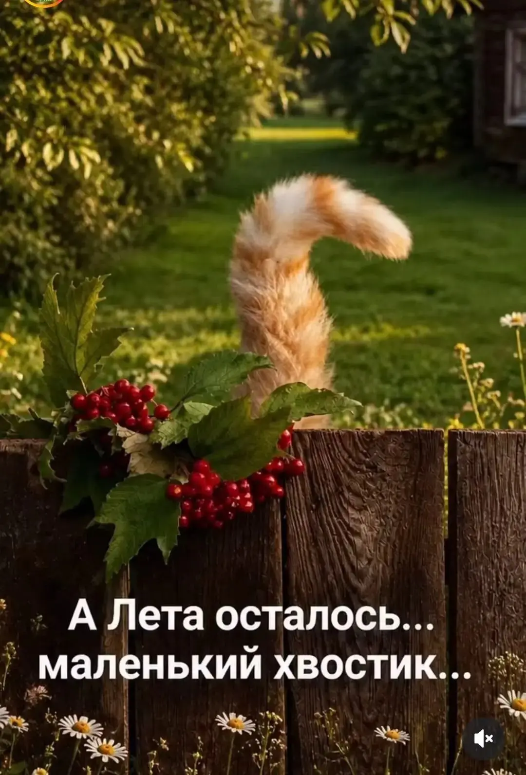 Вам не сложно мне приятно 😉