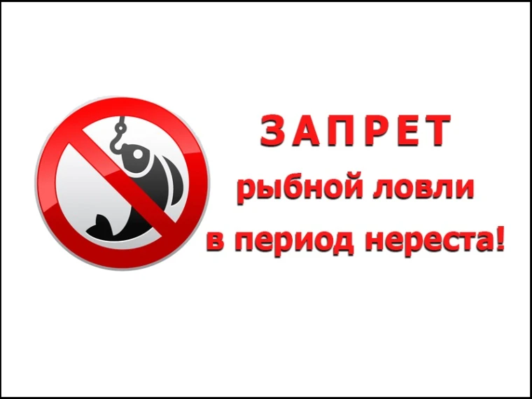 ВНИМАНИЕ