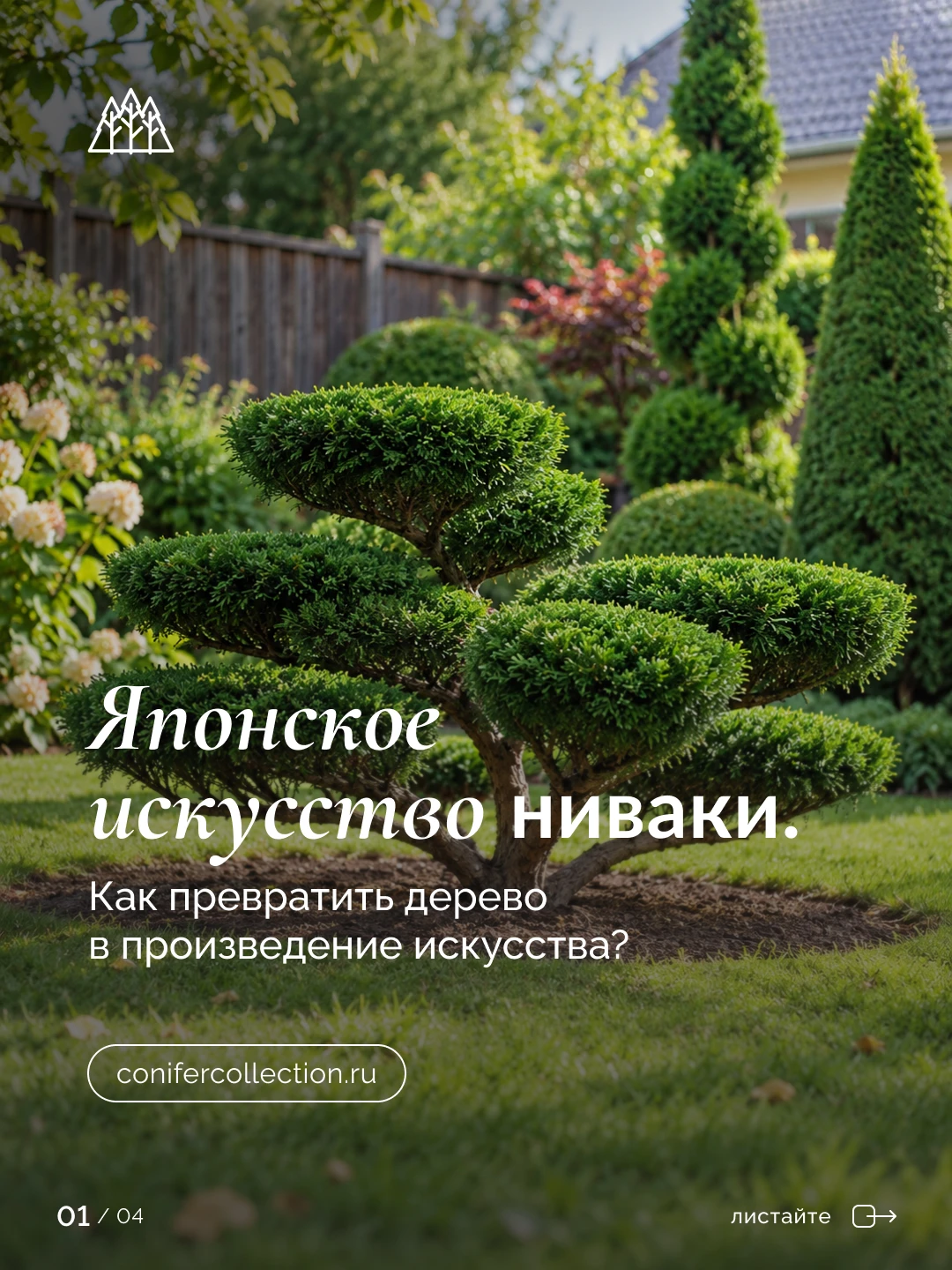 Почему японские сады выглядят так гармонично и естественно?