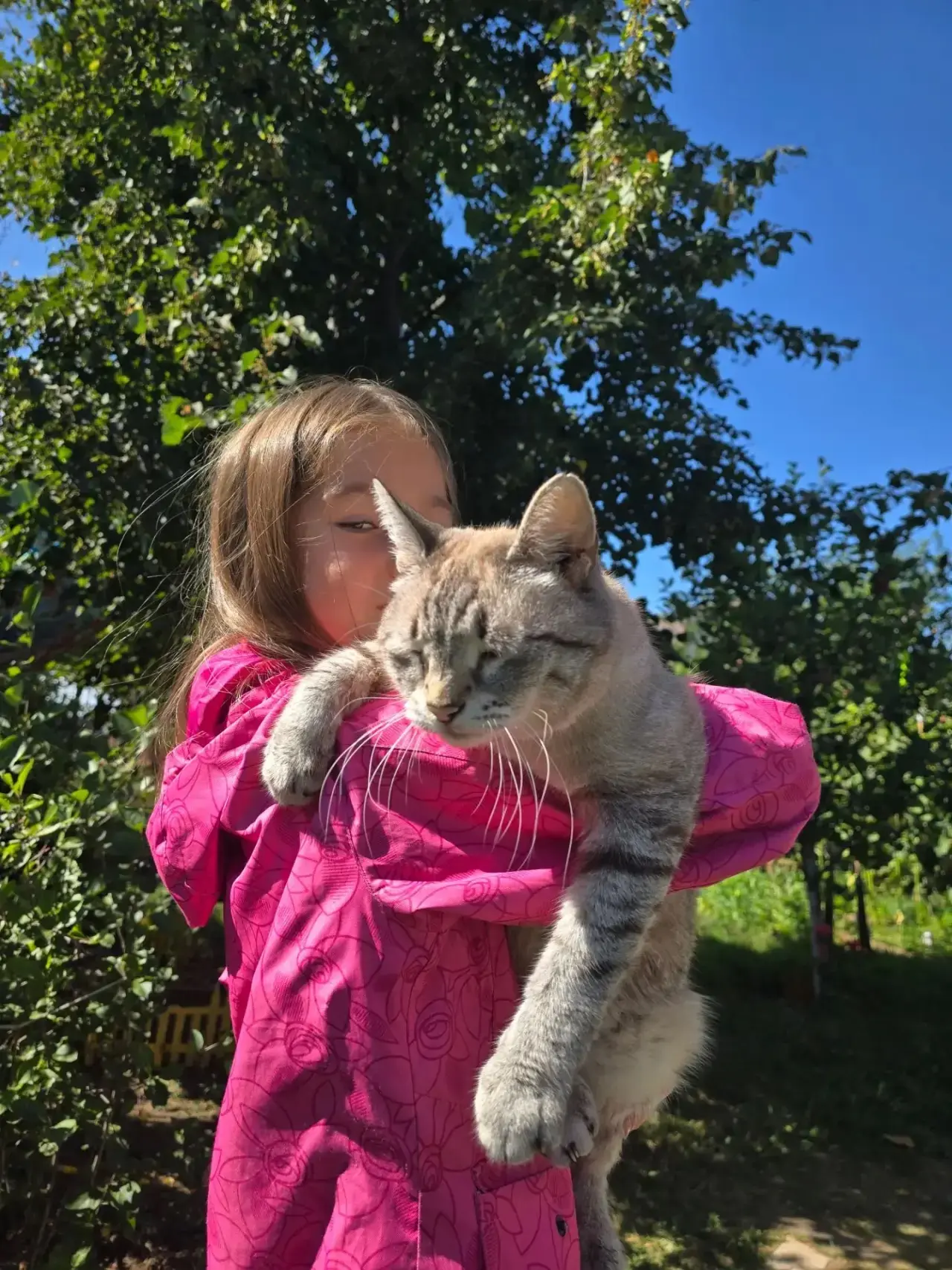 😺🐶Акция: «Моё сердце — их защита»