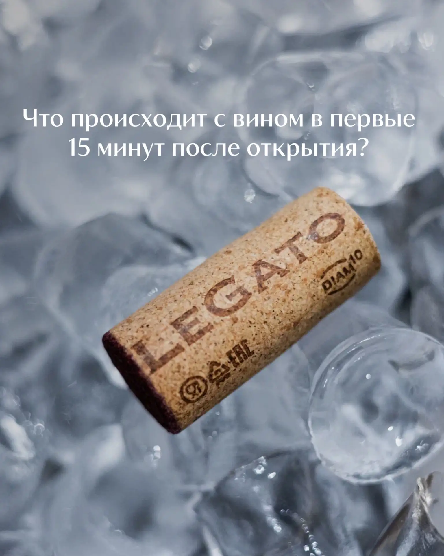 Сегодня разбираемся, что же происходит с вином после открытия.🍷 Смотрим карточки🔼