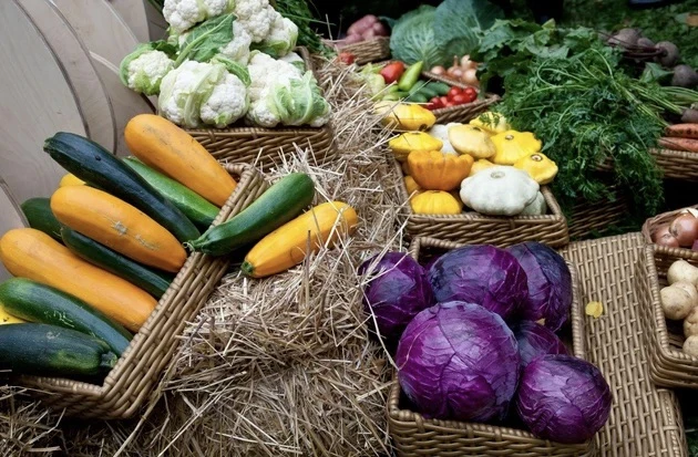 🍆 🥬 🧀 Кругом - агропром. Впереди выходные и одна из самых популярных осенних ярмарок.