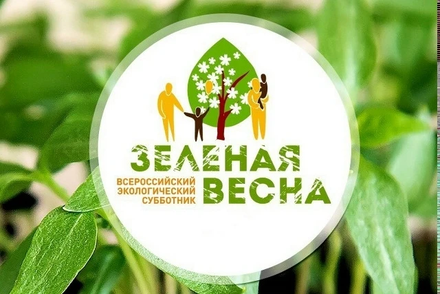 5 мая 2026 года коллектив Яранской районной библиотеки им. Г.Ф Боровикова вышел на трад...