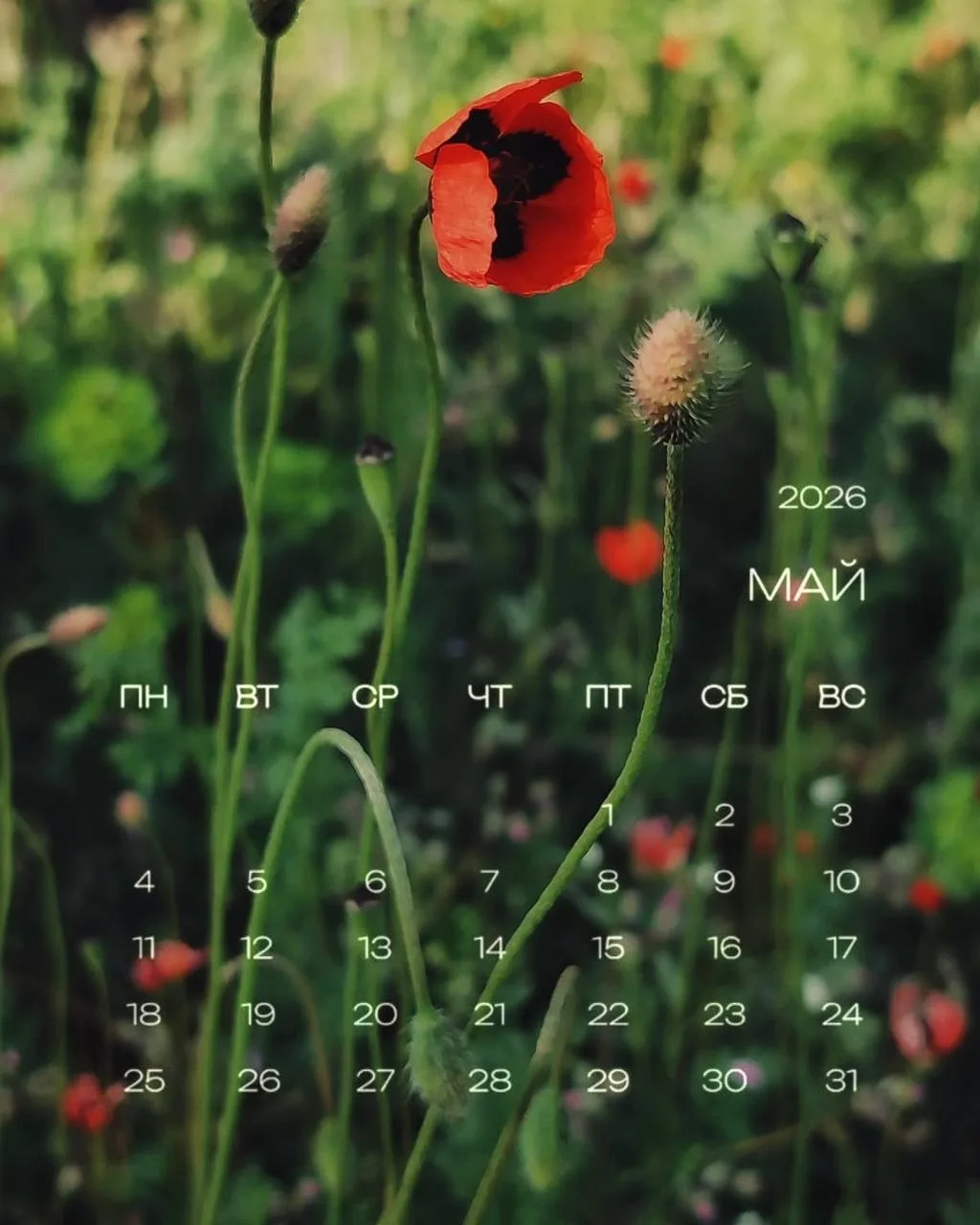 Наш график работы в мае🗓️