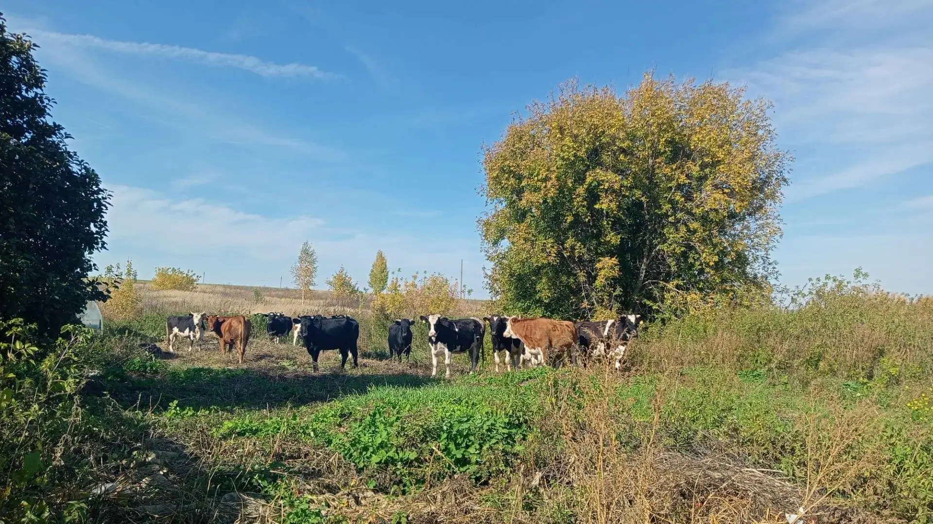 Доброе воскресное утро, Заинск! ☀️