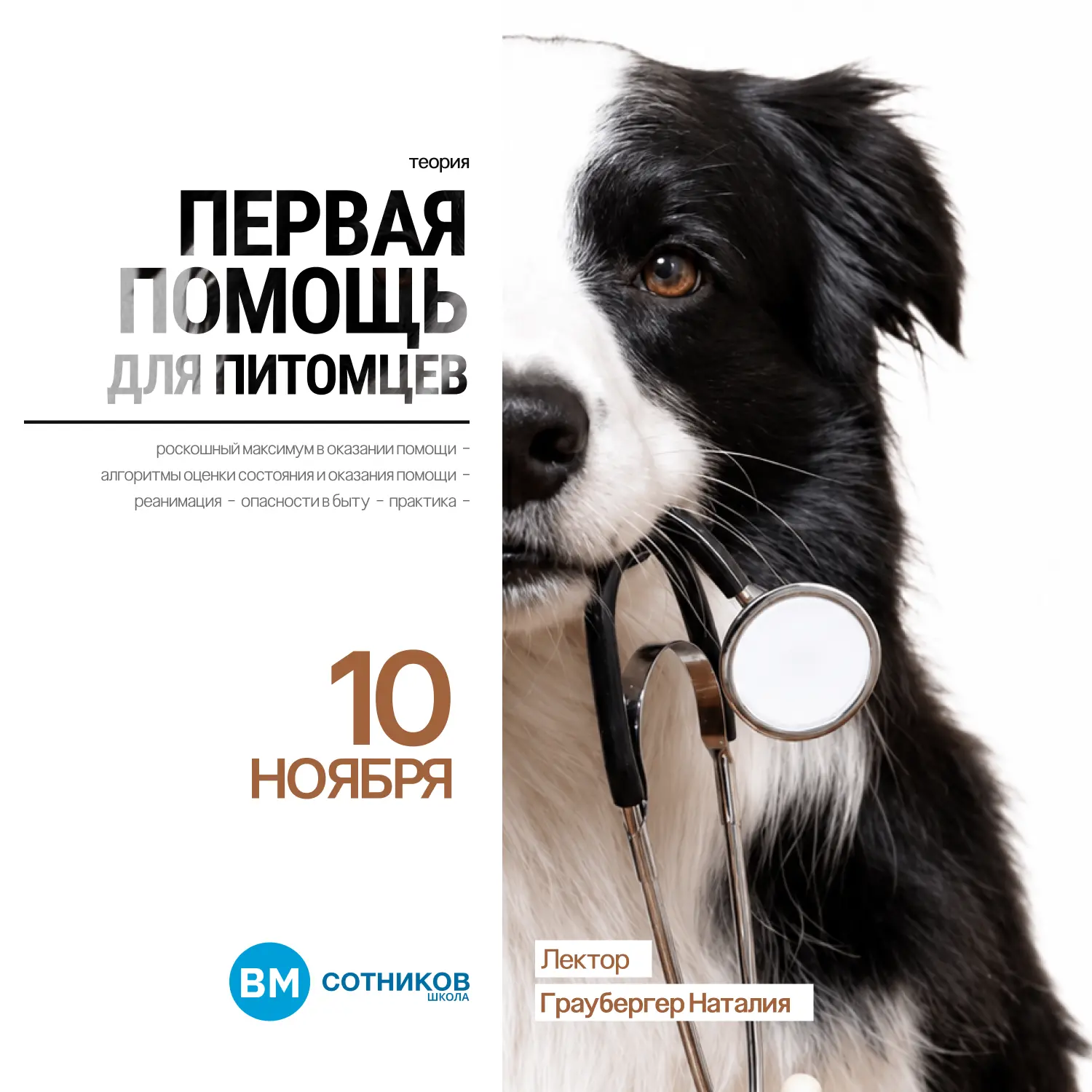 Курс первой помощи для собак и кошек — это 8 часов интенсивной практики. Без воды. Без ...