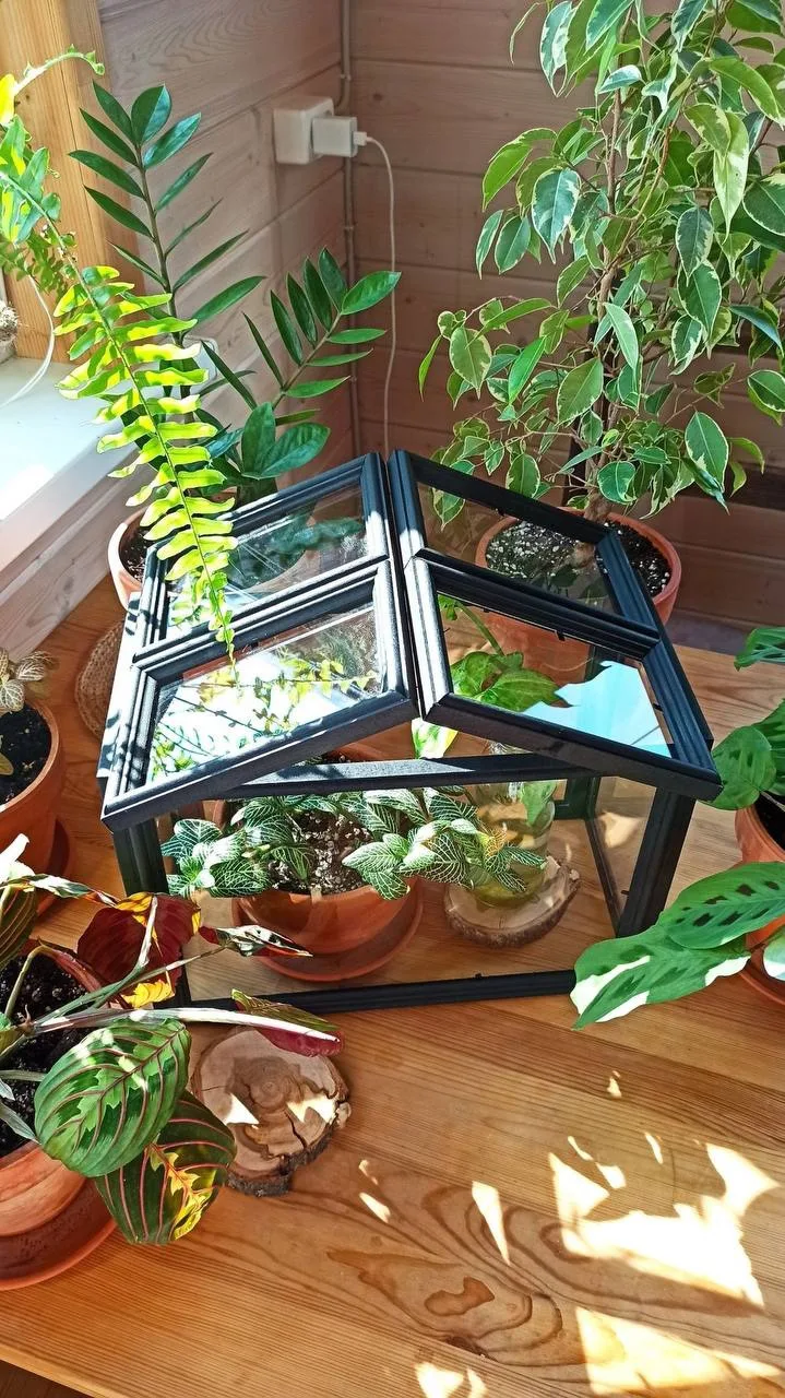 Стильные теплички для комнатных растений 🌱🌿🌱