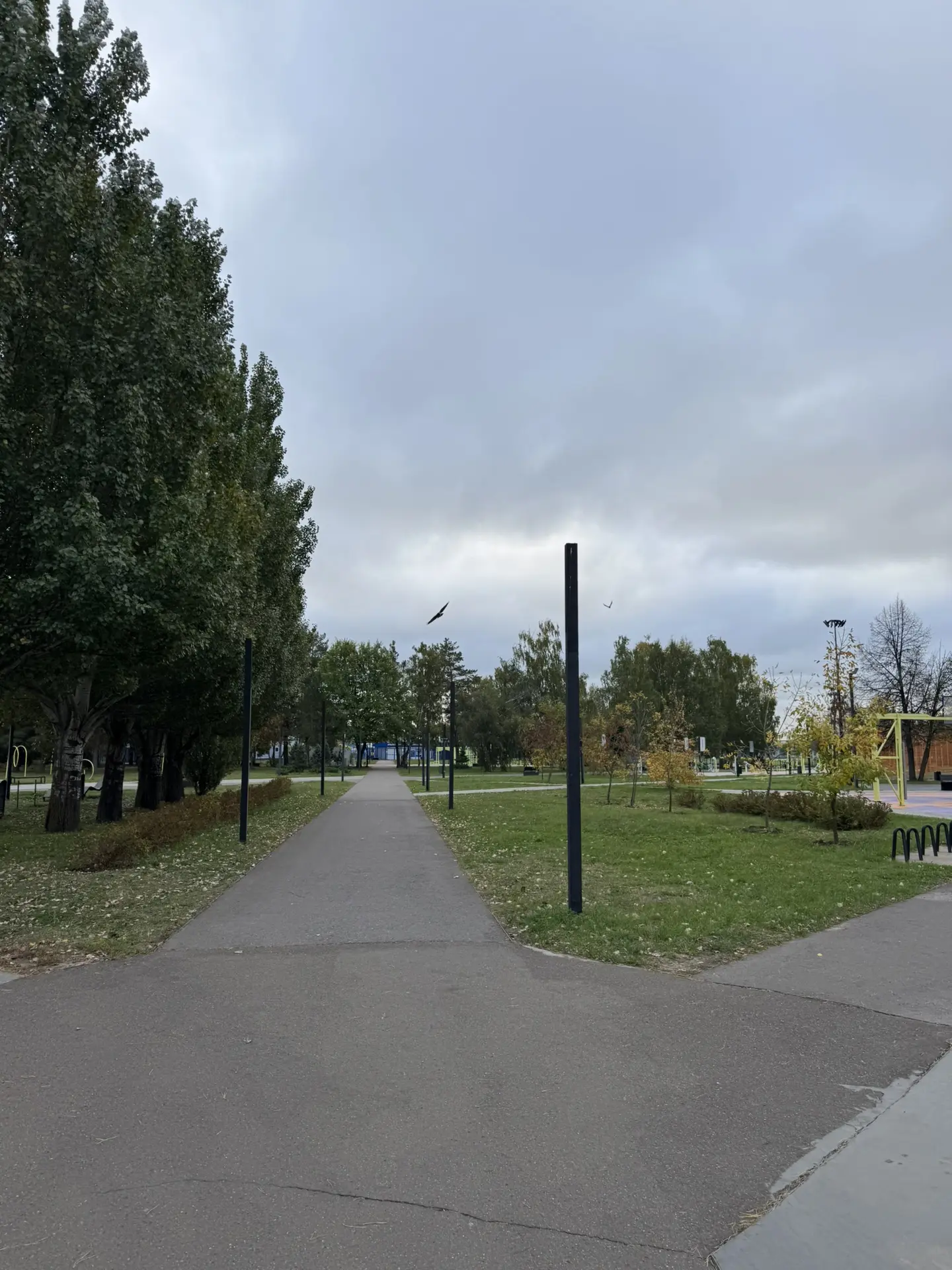 Доброе утро, друзья!