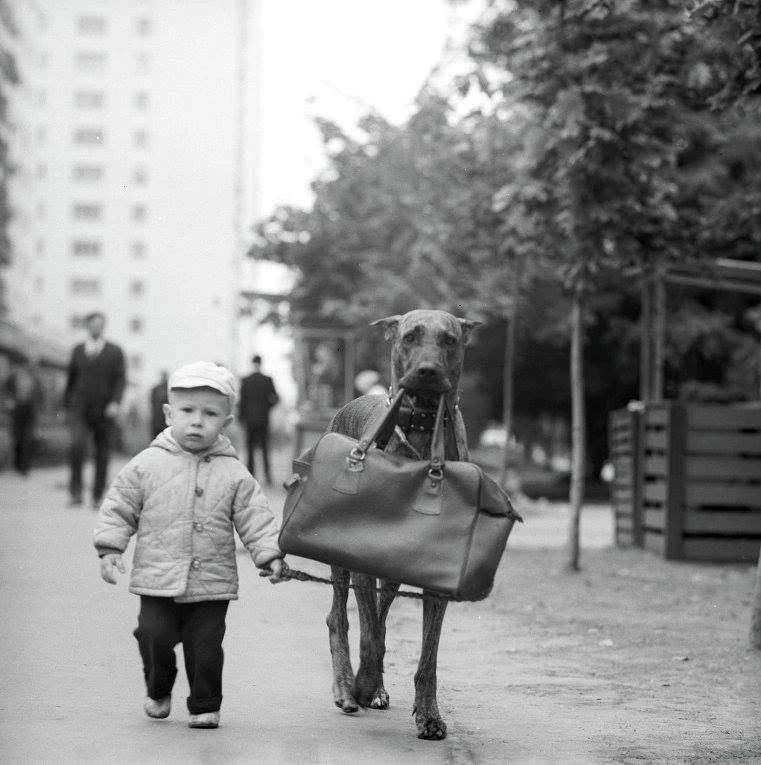 🖇Этот забавный кадр сделан в Москве фотографом Игорем Костиным

📆1975 год

Придумаем название? Пиш