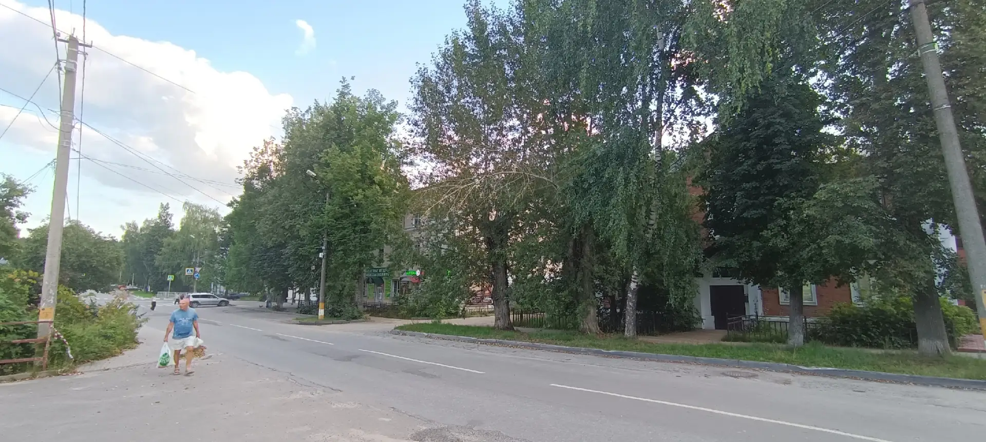 Куда писать/звонить, если над дорогой на проводах повисла здоровенная, сломанная ветка дерева?  (Ули