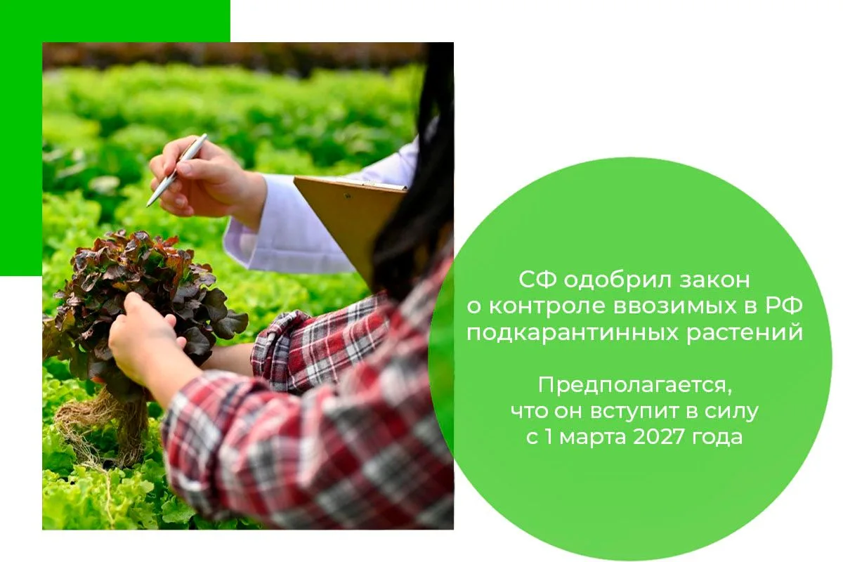 СФ ОДОБРИЛ ЗАКОН О КОНТРОЛЕ ВВОЗИМЫХ В РФ ПОДКАРАНТИННЫХ РАСТЕНИЙ
 
🌱 Совет Федерации на пленарном 