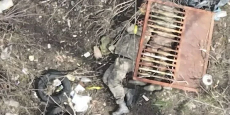 В зоне СВО уничтожили капитана штурмовой бригады «Лють» и двух офицеров ВСУ. Украинских...
