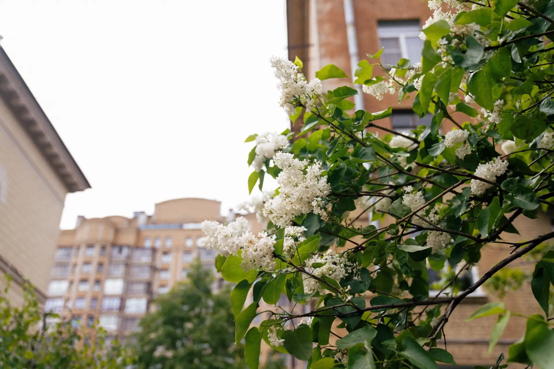 Доброе утро!

Погода сегодня:
Утро 🌥️ +18°C, Ю 2м/с.
День 🌥️ +21°C, З 4м/с.
Вечер 🌥️ +18°C, З 2м/