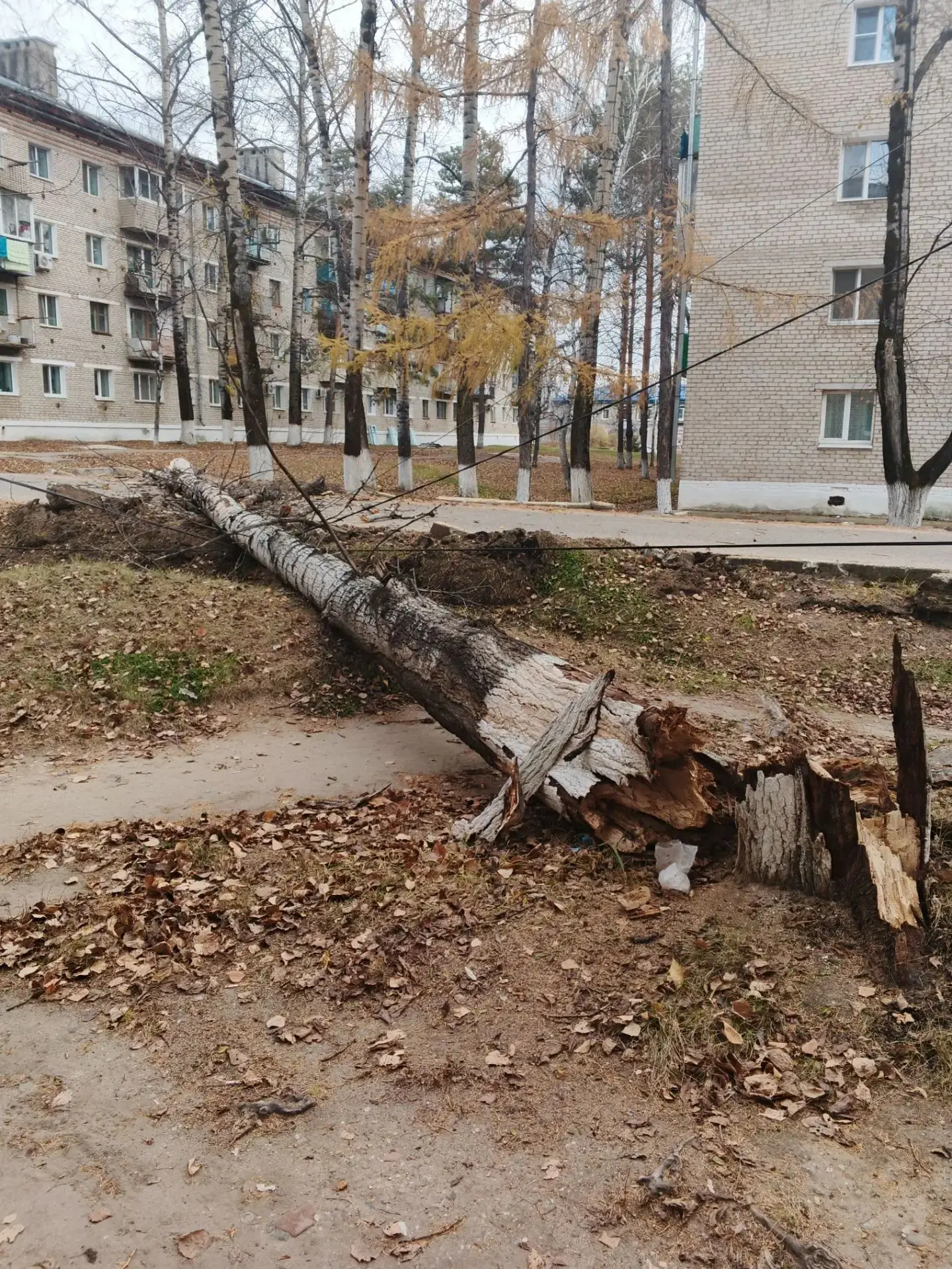 Видео: Ирина 🌺
