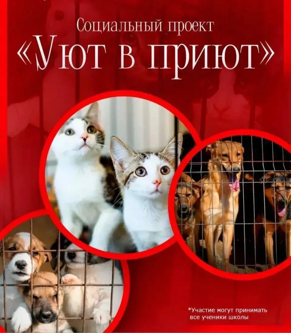🐾 Давайте вместе поможем тем, кто в этом нуждается!