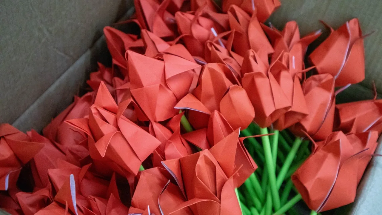 🌺 В ПривГУПС прошла акция «Красный тюльпан»  📅 Сегодня, 13 февраля, в университете активисты военно-