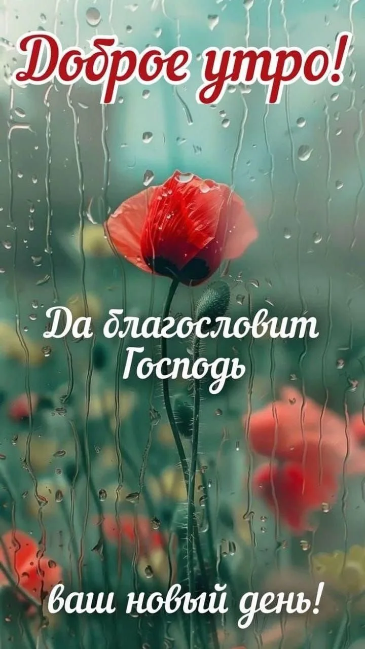 16  июня  
🕊️Сердечно поздравляем с именинами  Афанасия,  Дениса, Дмитрия, Лукьяна, Михаила, Павла,