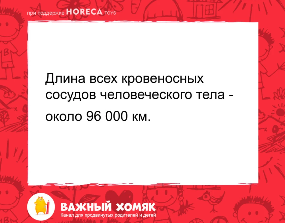 #интересныефакты #детииродители #семья #наука #длядетей

Подписаться на канал «Важный хомяк».