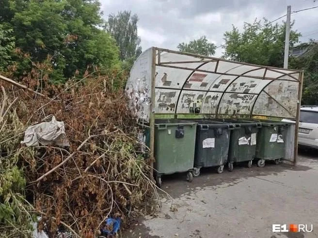 Контейнерные площадки заваливают ветками и спилами деревьев