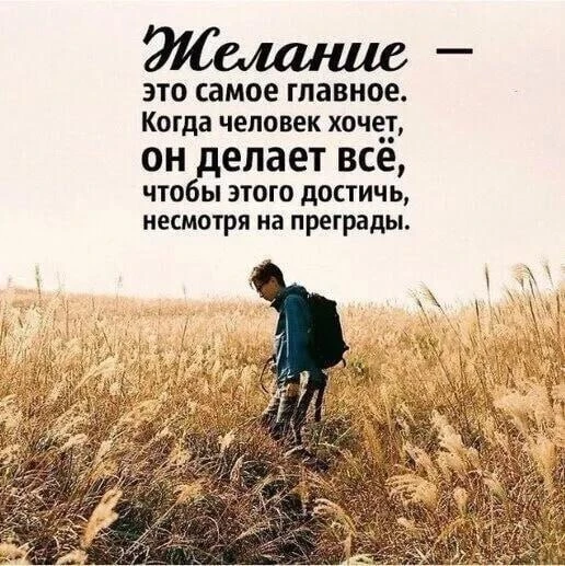 Смысл в каждой фразе — Подпишись