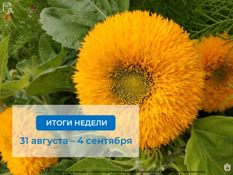 📊За прошедшую неделю агентством⤵️