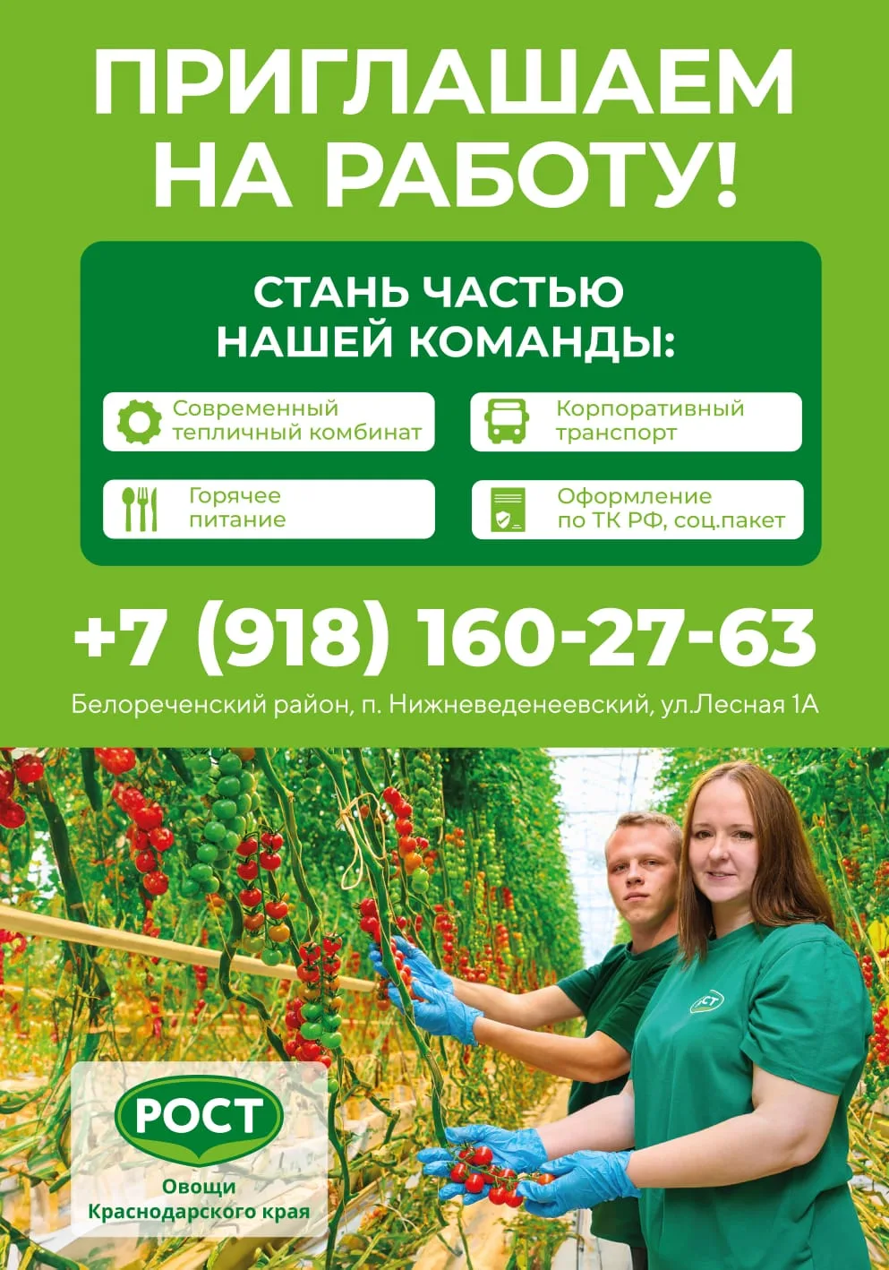 Вакансии!
ООО "Овощи Краснодарского края" требуются на постоянную работу:

- подсобный рабочий з/п 5