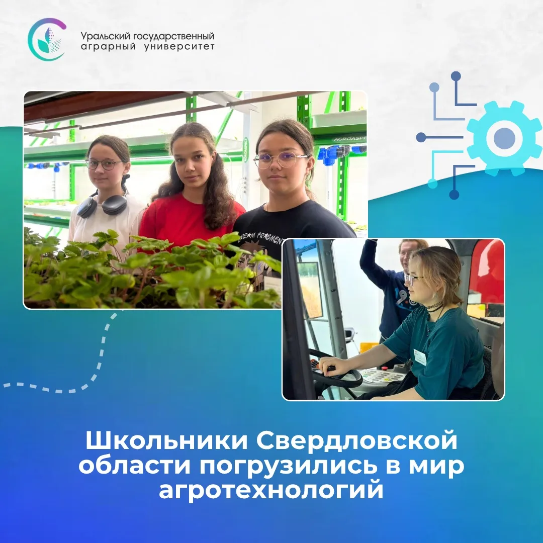 Школьные каникулы с пользой? Это вам в УрГАУ 💚

С 15 по 17 июня 20 старшеклассников из разных уголк